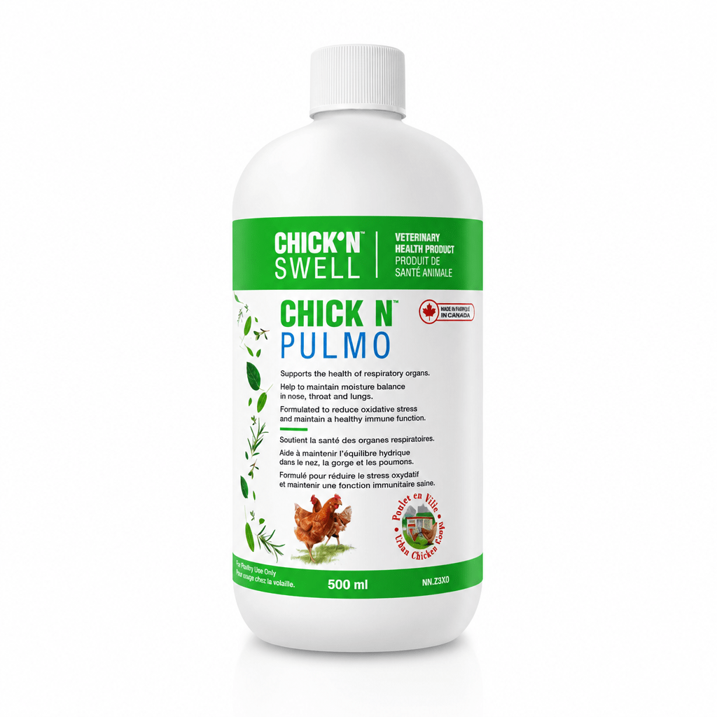 CHICK'N PULMO | Supplément de Santé Respiratoire pour Volailles et Oiseaux | 500 ml - Ma Poule Express
