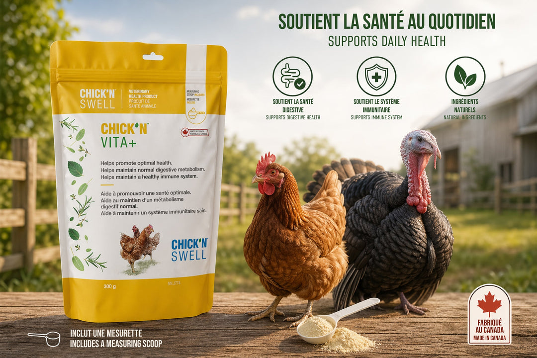 CHICK&