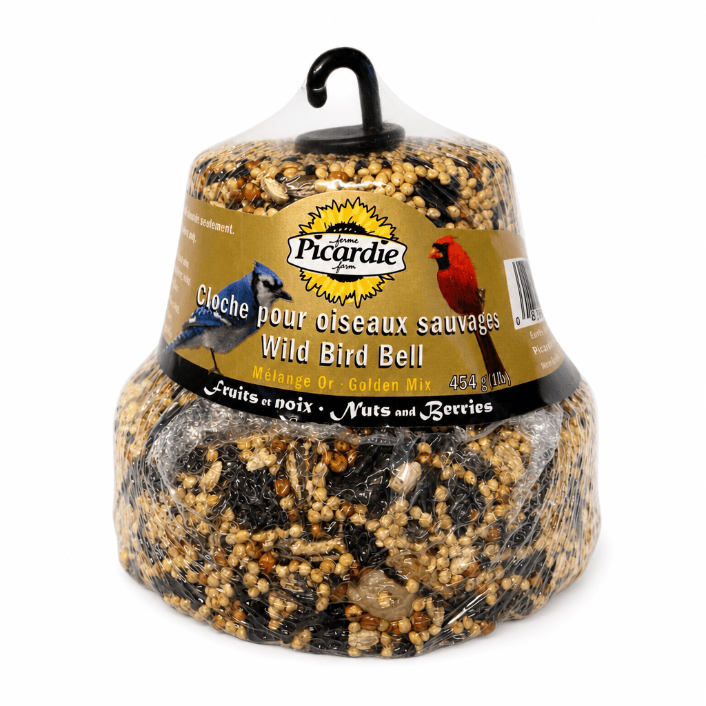 Cloche de grains - Mélange Or - Ma Poule Express