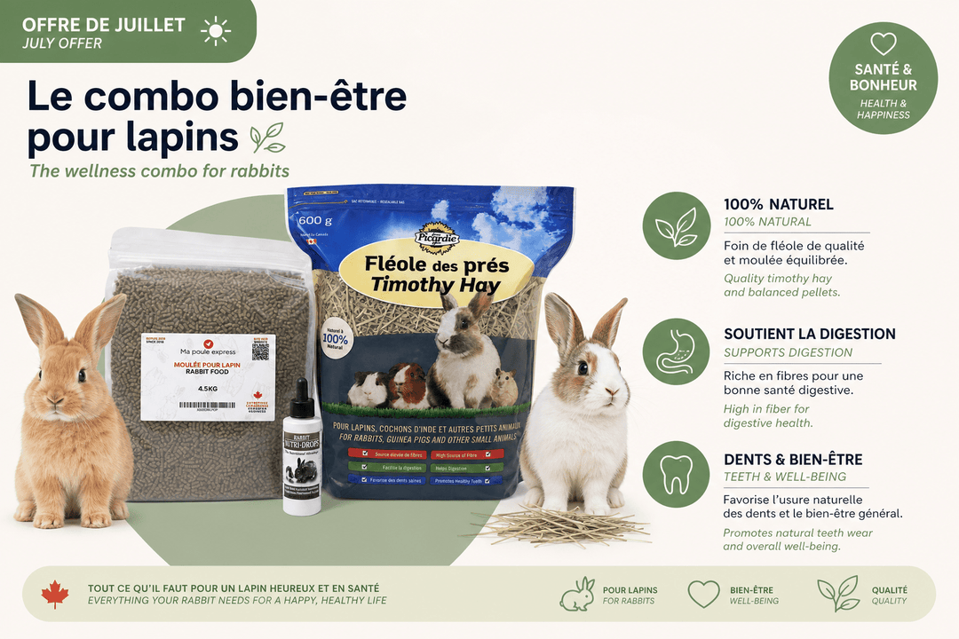 Combo Bien-être pour Lapins – Alimentation Complète & Soins Essentiels | Offre de Juillet - Ma Poule Express
