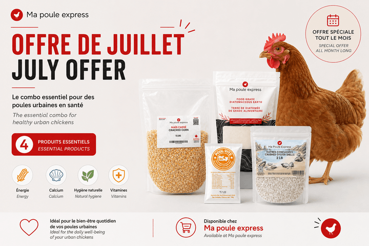 Combo Essentiel pour Poules Urbaines – Offre de Juillet | 4 Produits - Ma Poule Express