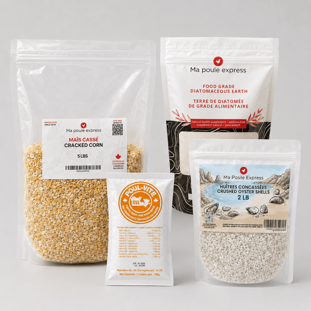 Combo Essentiel pour Poules Urbaines – Offre de Juillet | 4 Produits - Ma Poule Express