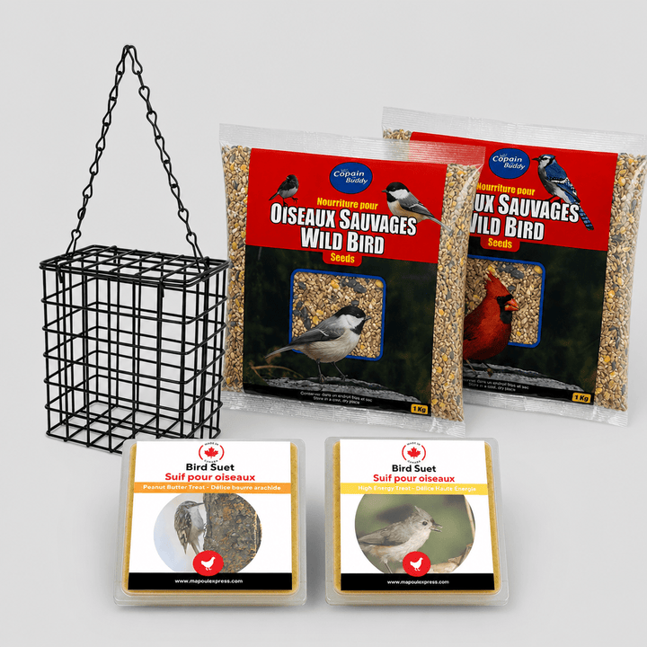 Combo Oiseaux Sauvages – Graines, Suif et Mangeoire | Offre d’Août - Ma Poule Express