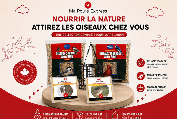 Combo Oiseaux Sauvages – Graines, Suif et Mangeoire | Offre d’Août - Ma Poule Express