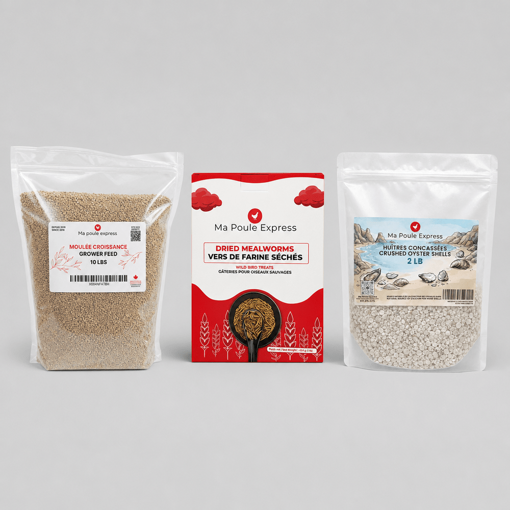 Combo Santé et Vitalité – Moulée, Vers de Farine et Coquilles d’Huîtres | Offre d’Août - Ma Poule Express