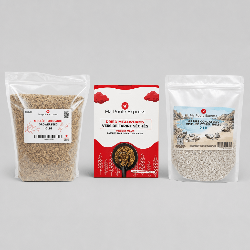 Combo Santé et Vitalité – Moulée, Vers de Farine et Coquilles d’Huîtres | Offre d’Août - Ma Poule Express