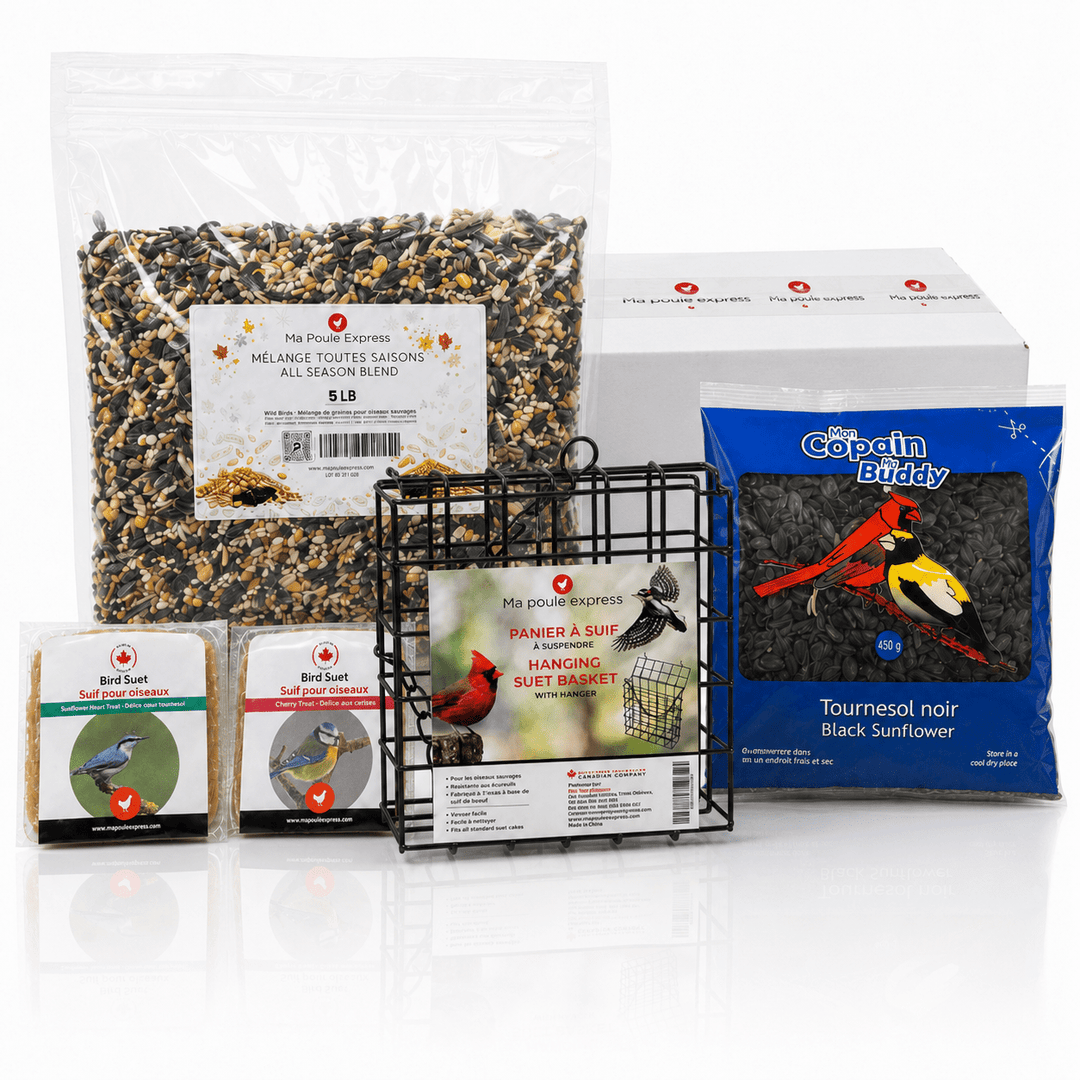 Combo Septembre pour oiseaux sauvages – Mélange toutes saisons 5 lb + 12 suifs mélangés + cage à suif gratuite + tournesol noir 450 g - Ma Poule Express