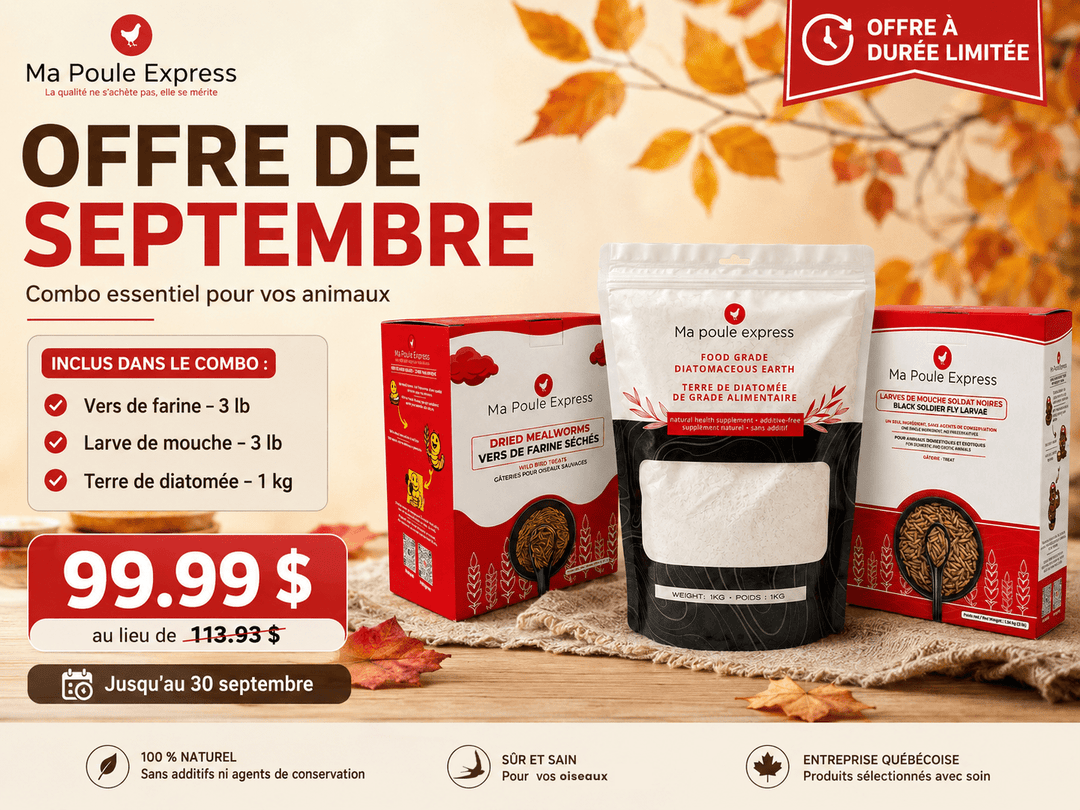 Combo Septembre – Vers de farine 3 lb + Larves de mouche soldat noire 3 lb + Terre de diatomée 1 kg - Ma Poule Express