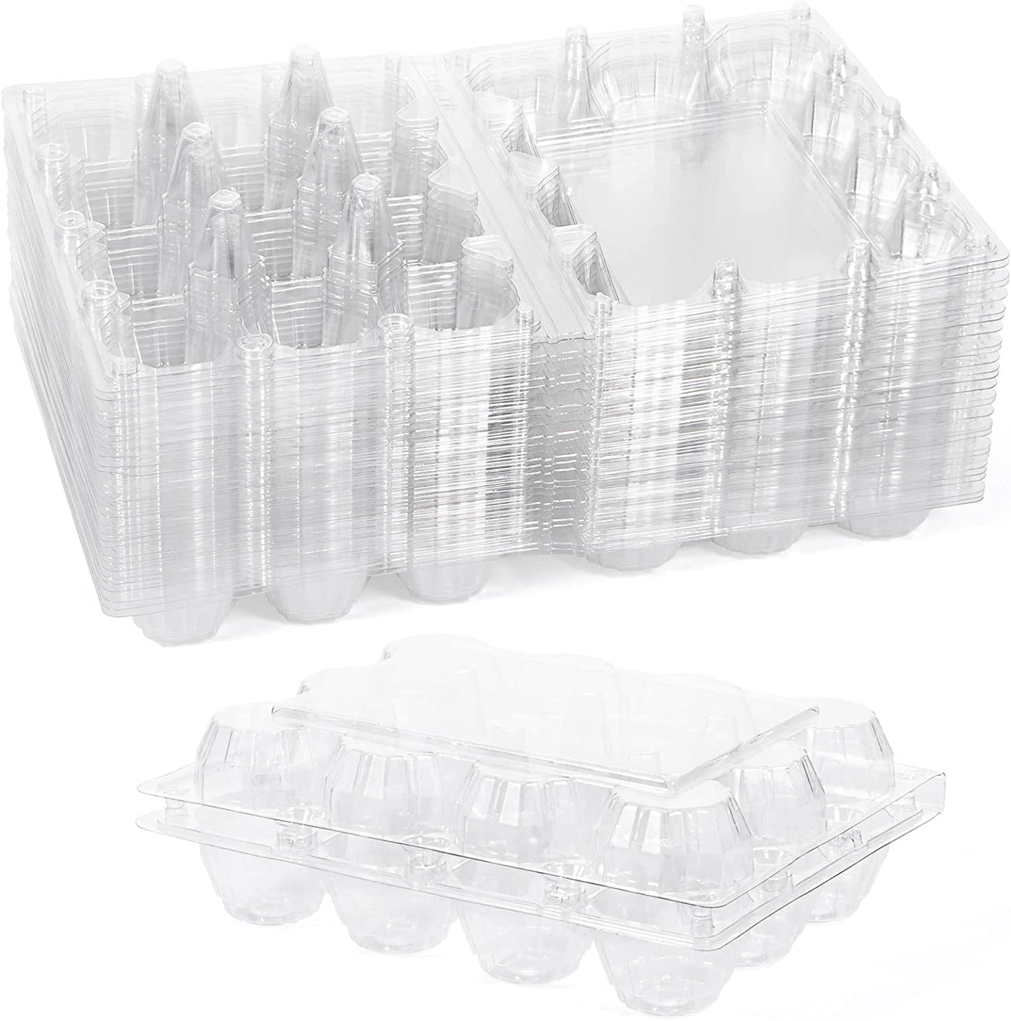 Contenant pour oeufs de cailles en plastique - paquet de 25 unités - Ma Poule Express