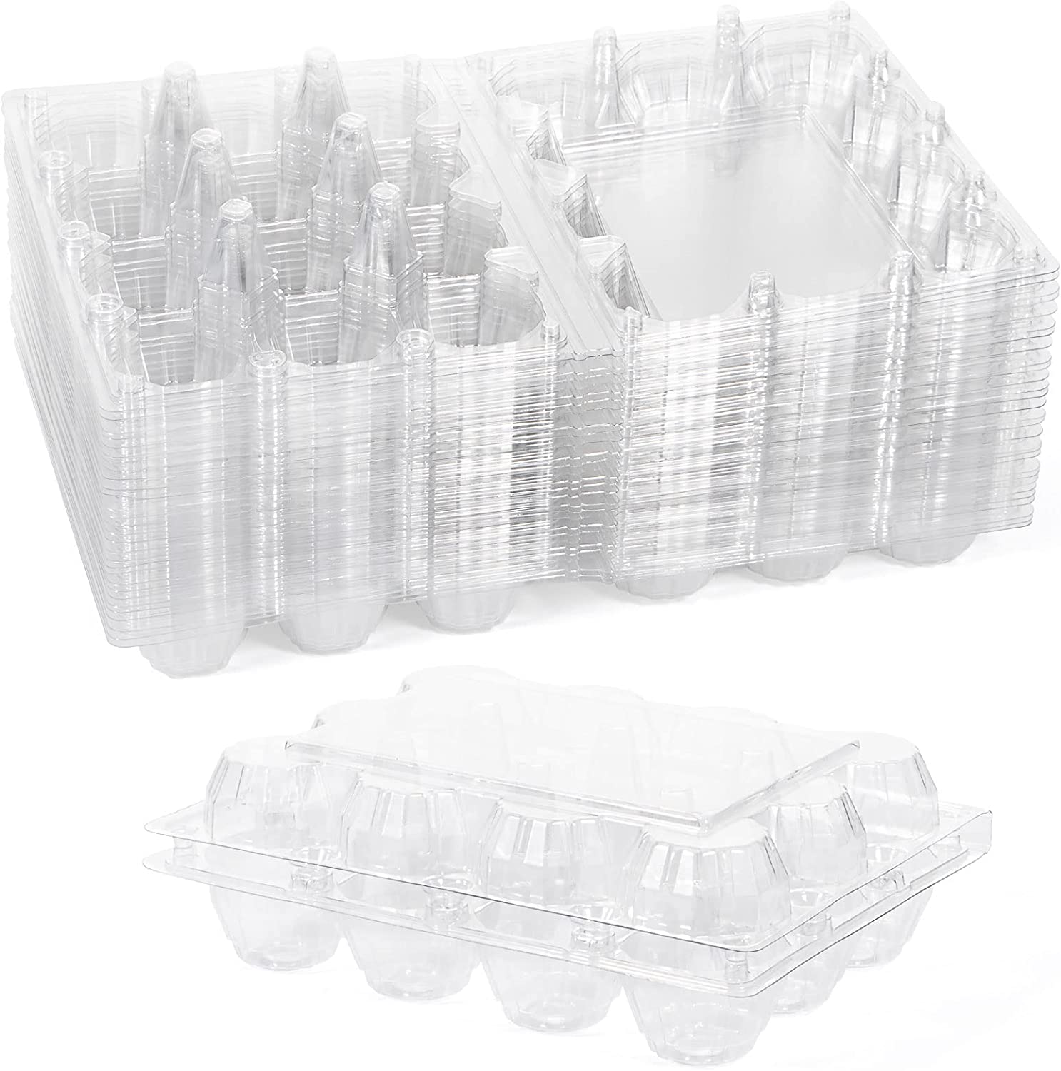 Contenant pour oeufs de cailles en plastique - paquet de 25 unités - Ma Poule Express
