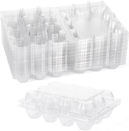 Contenant pour oeufs de cailles en plastique - paquet de 25 unités - Ma Poule Express