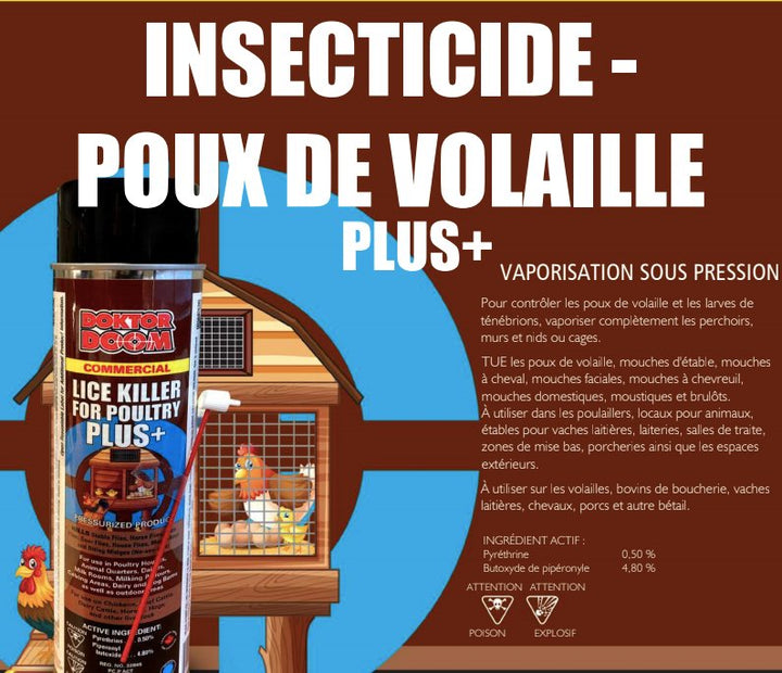 Doktor doom Insecticide - traitement efficace contre les poux - Ma Poule Express