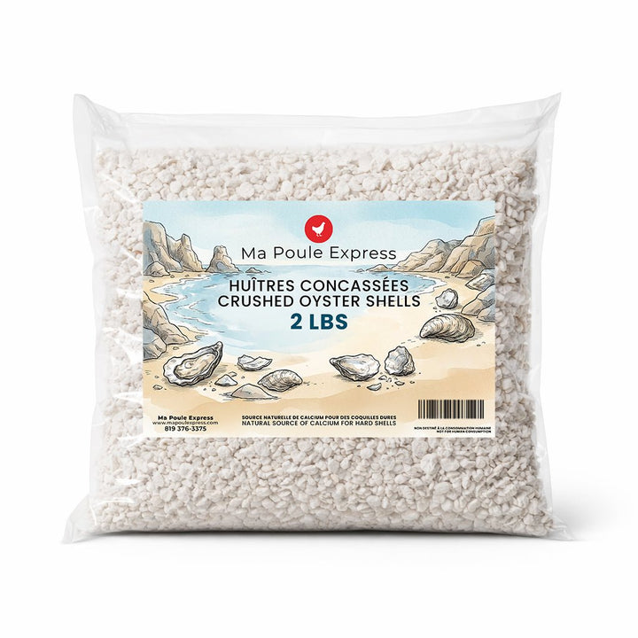 Écailles d'Huîtres Concassées - Complément de Calcium - Ma Poule Express