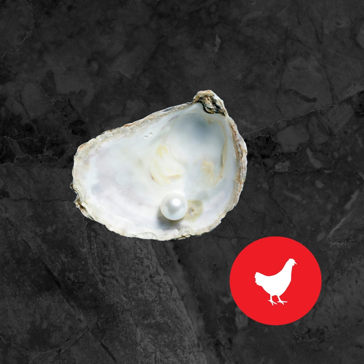 Écailles d'Huîtres Concassées - Complément de Calcium - Ma Poule Express