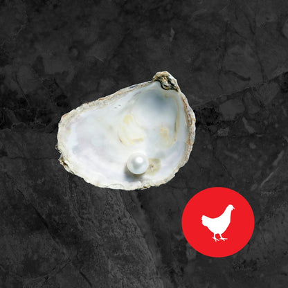 Écailles d'Huîtres Concassées - Complément de Calcium - Ma Poule Express