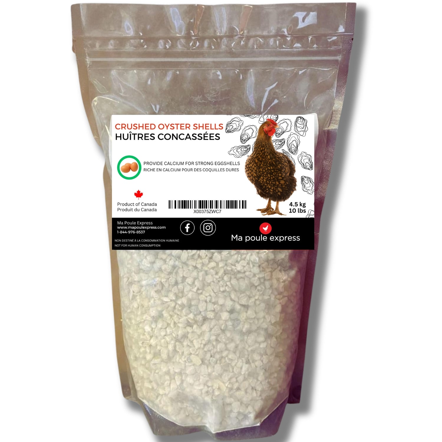 Écailles d'Huîtres Concassées - Complément de Calcium - Ma Poule Express