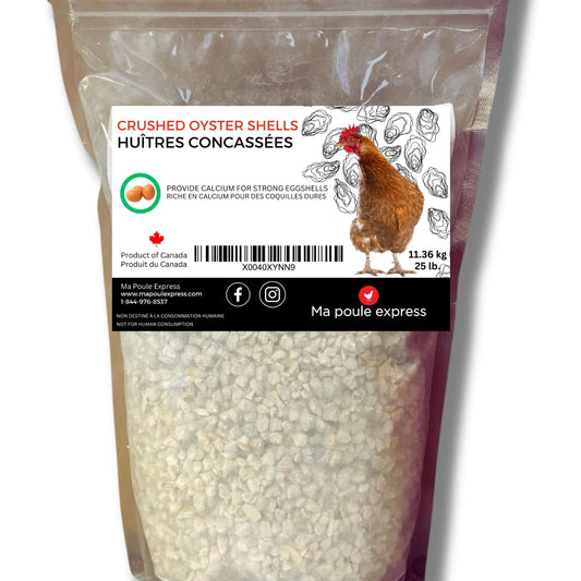 Écailles d'Huîtres Concassées - Complément de Calcium - Ma Poule Express