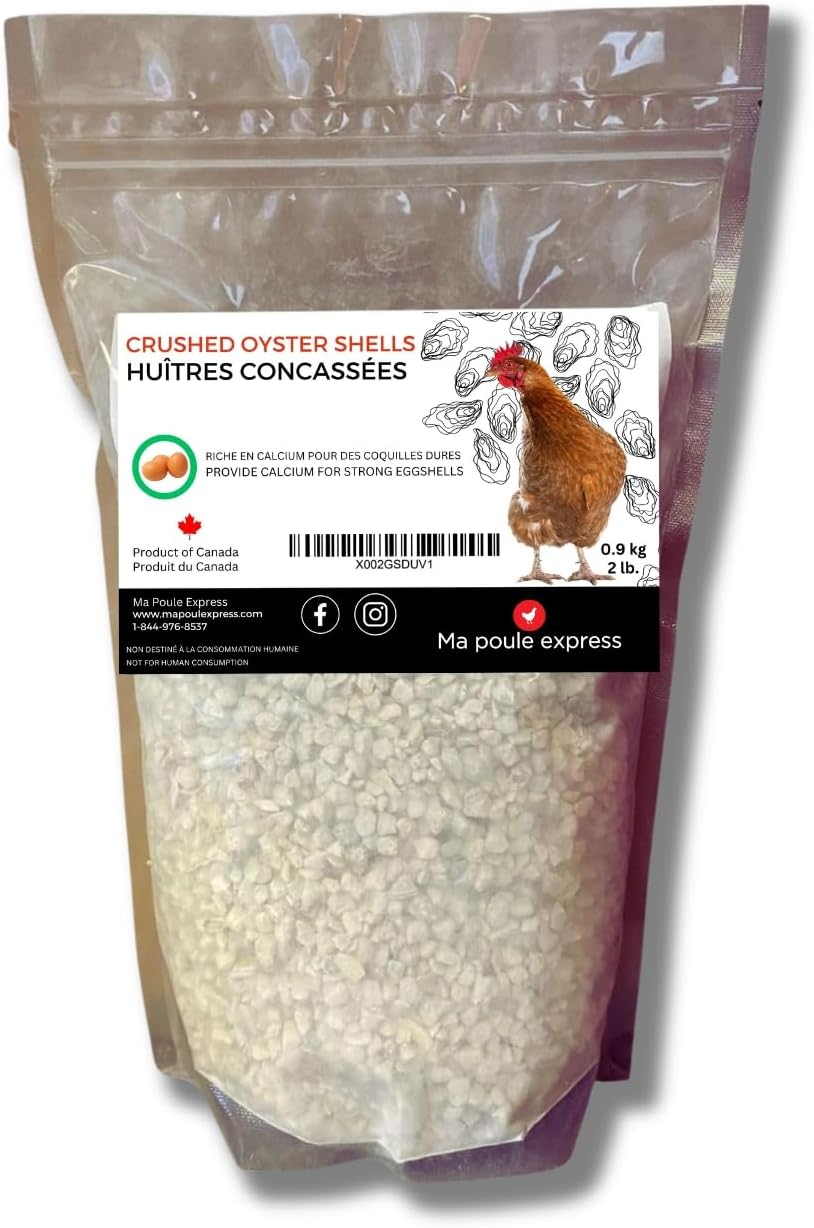 Écailles d'Huîtres Concassées - Complément de Calcium - Ma Poule Express