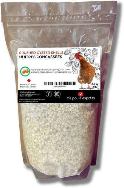 Écailles d'Huîtres Concassées - Complément de Calcium - Ma Poule Express