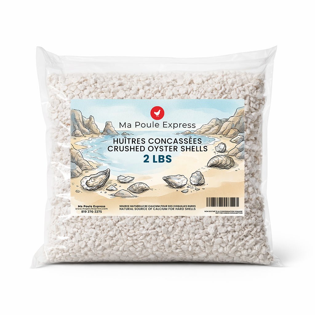 Écailles d'Huîtres Concassées - Complément de Calcium - Ma Poule Express