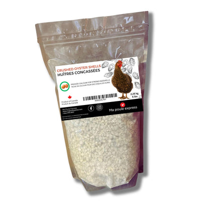 Écailles d'Huîtres Concassées - Complément de Calcium - Ma Poule Express