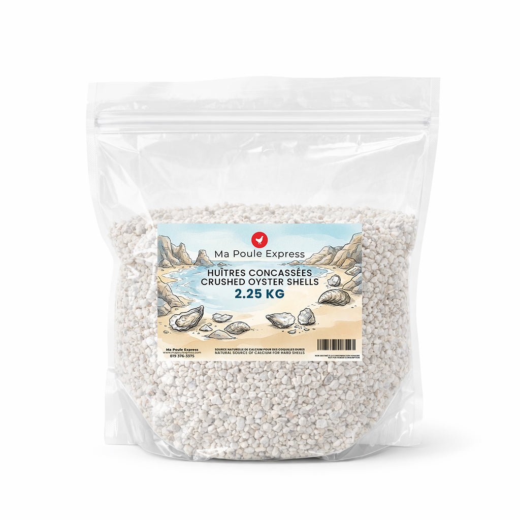 Écailles d'Huîtres Concassées - Complément de Calcium - Ma Poule Express