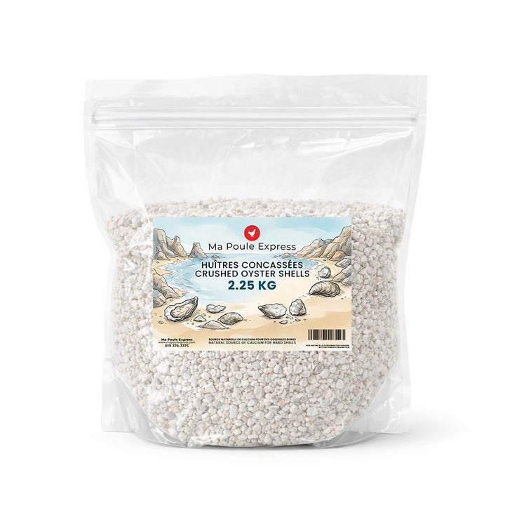 Écailles d'Huîtres Concassées - Complément de Calcium - Ma Poule Express