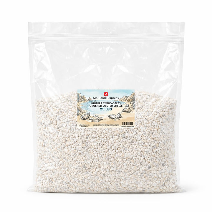 Écailles d'Huîtres Concassées - Complément de Calcium - Ma Poule Express