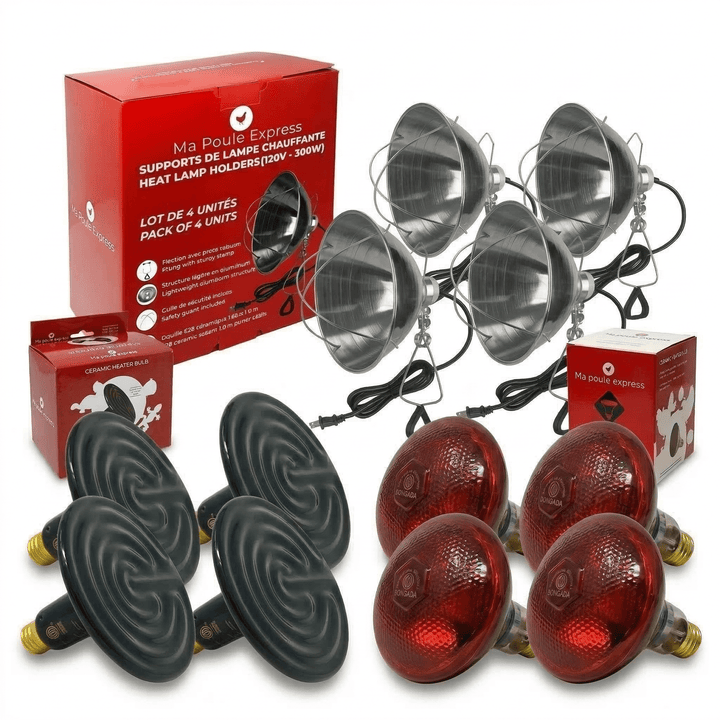 Ensemble Chauffage Complet – 4 Lampes &amp; Ampoules pour Élevage - Ma Poule Express