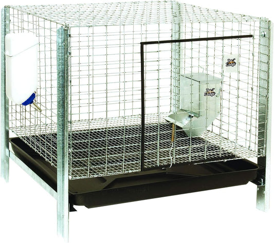 Ensemble complet de clapier pour lapins - Pet Lodge - Ma Poule Express