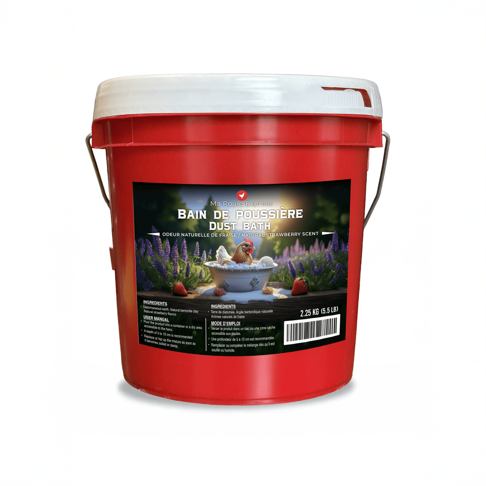 Ensemble complet pour poulailler – 4 supports de lampes chauffantes, 4 ampoules, larves BSF 5 lb, millet en grappe 5 lb et bain de poussière 5 lb - Ma Poule Express