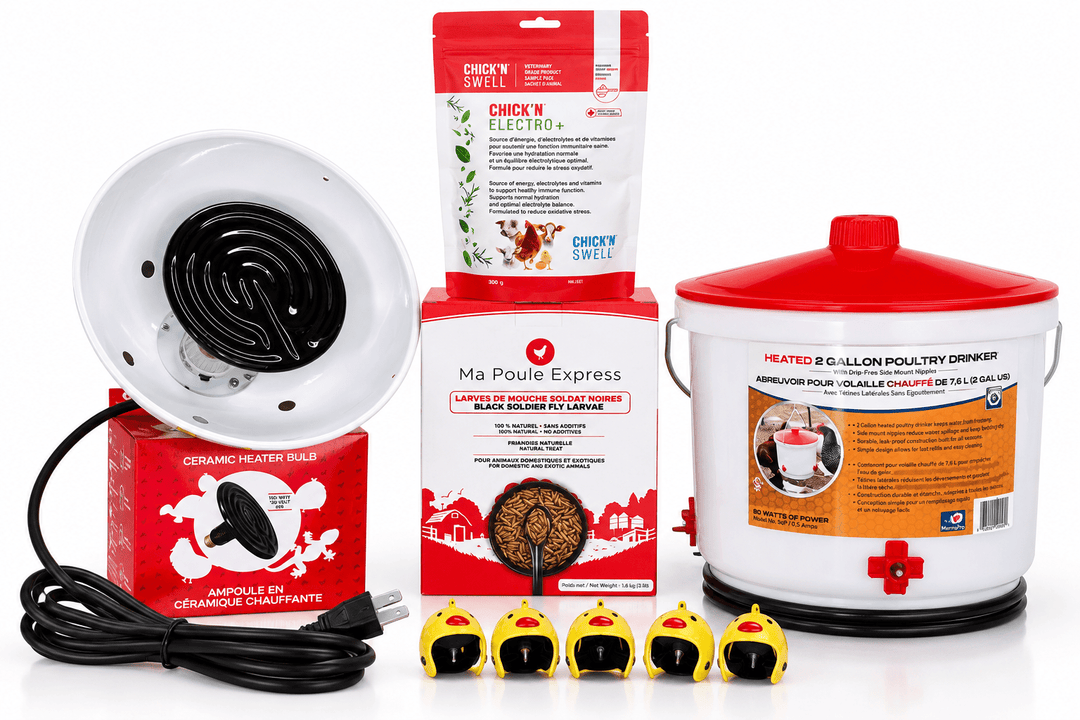 Ensemble complet pour poulailler – 6 produits essentiels | Abreuvoir chauffant 2 gallons, lampe céramique avec socle, électrolytes 300 g, larves BSF 1 lb et 5 casques pour poules - Ma Poule Express