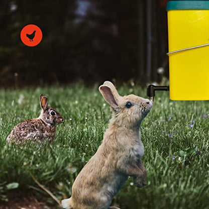 Ensemble de 2 Abreuvoirs Pour Petits Animaux - Ma Poule Express