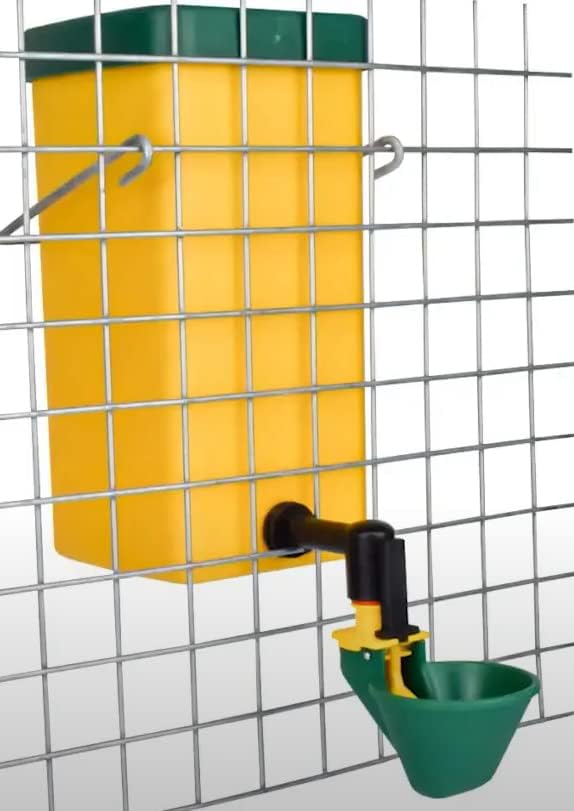 Ensemble de 2 abreuvoirs pour volailles - 1 L - Ma Poule Express