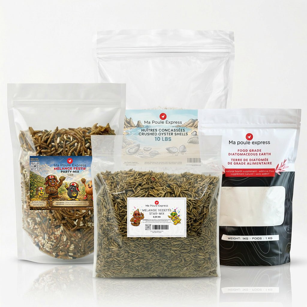 Ensemble Essentiel – Nutrition & Soins Complets pour Poules - Ma Poule Express