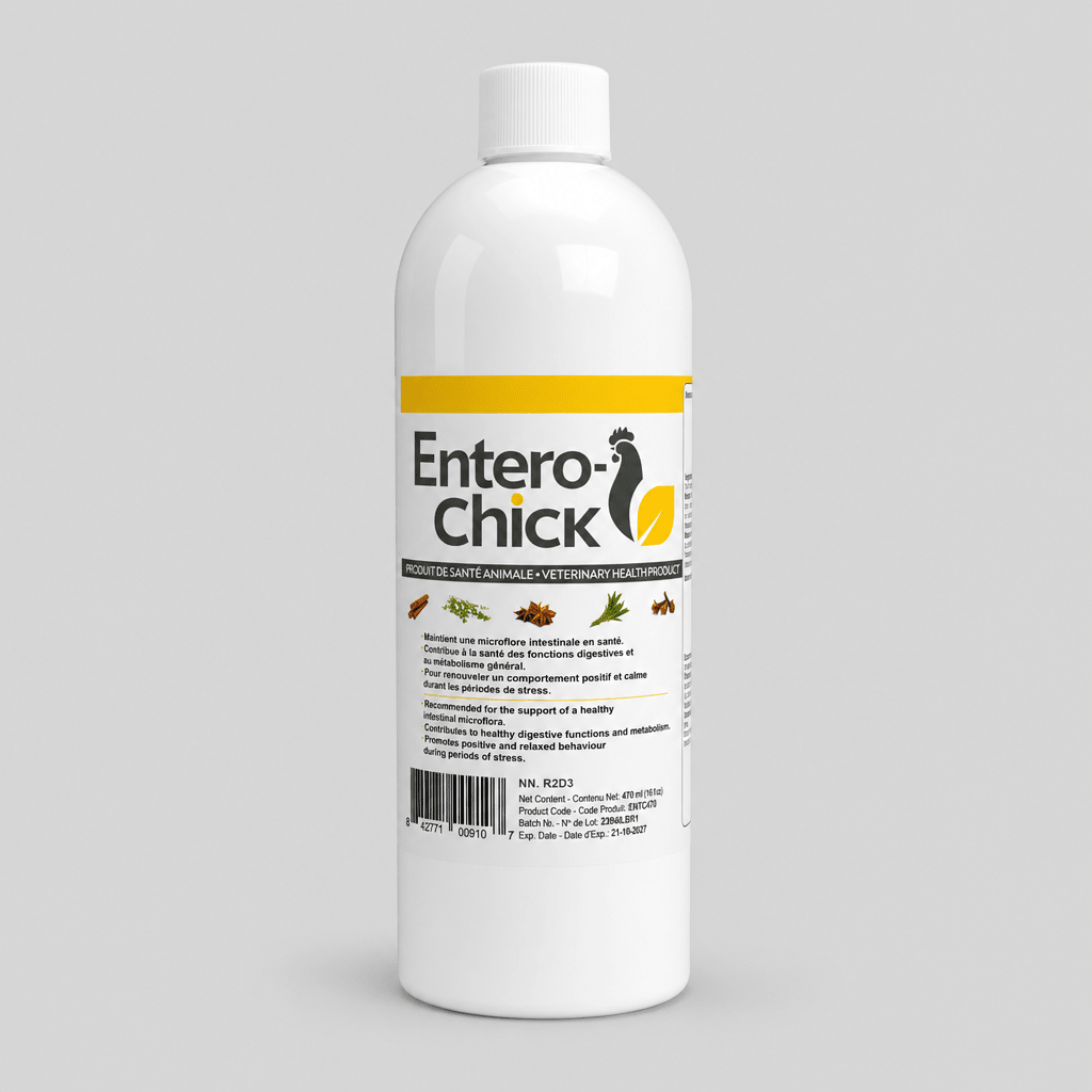 Entero-Chick - Prévention des problèmes de santé intestinale - Ma Poule Express