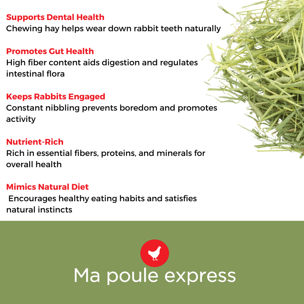 Foin Timothy Ma Poule Express™ - 12 LB - Ma Poule Express