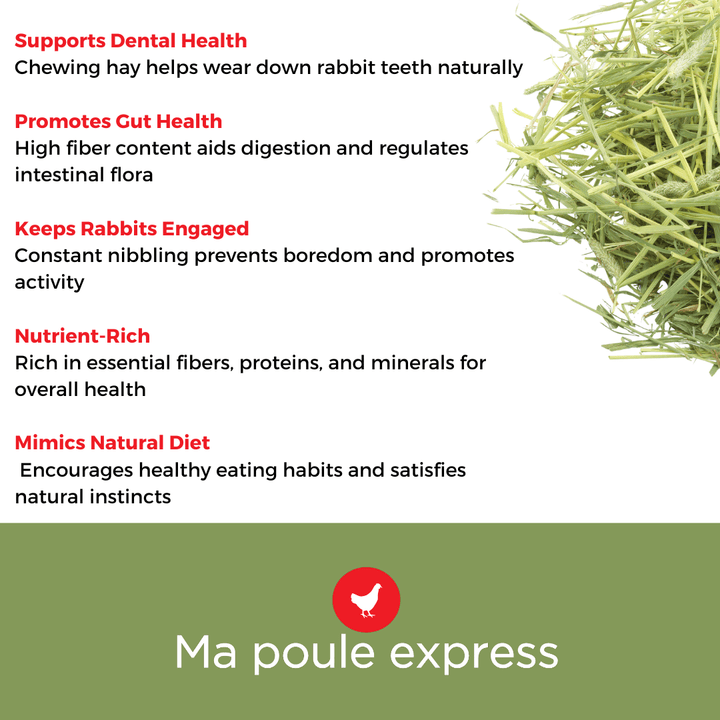 Foin Timothy Ma Poule Express™ - 12 LB - Ma Poule Express