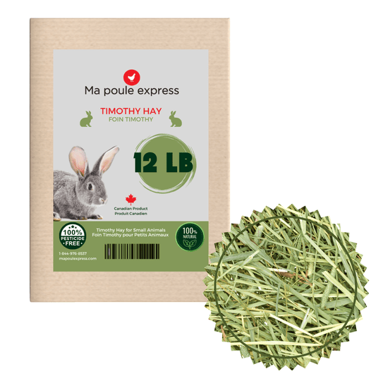 Foin Timothy Ma Poule Express™ - 12 LB - Ma Poule Express