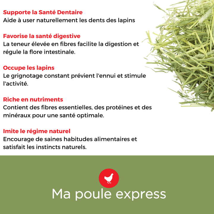Foin Timothy Ma Poule Express™ - 12 LB - Ma Poule Express