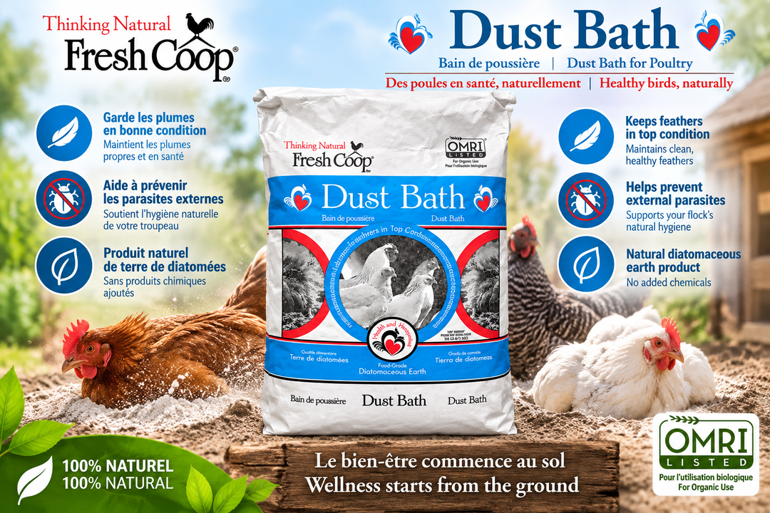 Fresh coop - Mélange Bain de poussière - Ma Poule Express