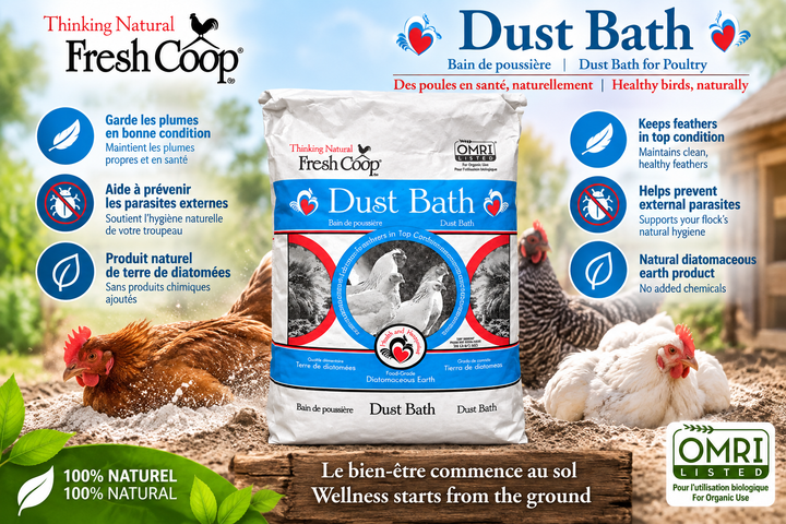 Fresh coop - Mélange Bain de poussière - Ma Poule Express