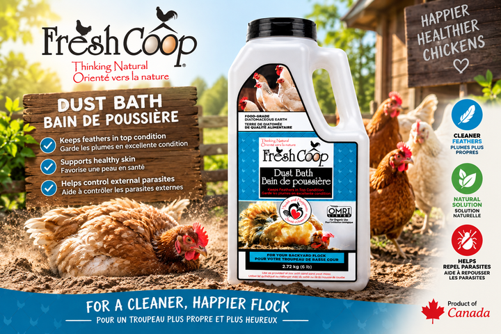 Fresh coop - Mélange Bain de poussière - Ma Poule Express