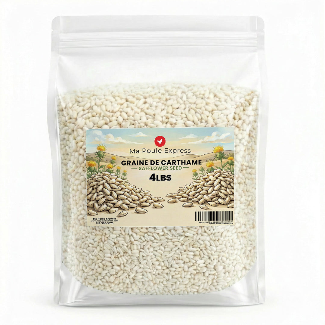 Graines de Carthame - Ma Poule Express