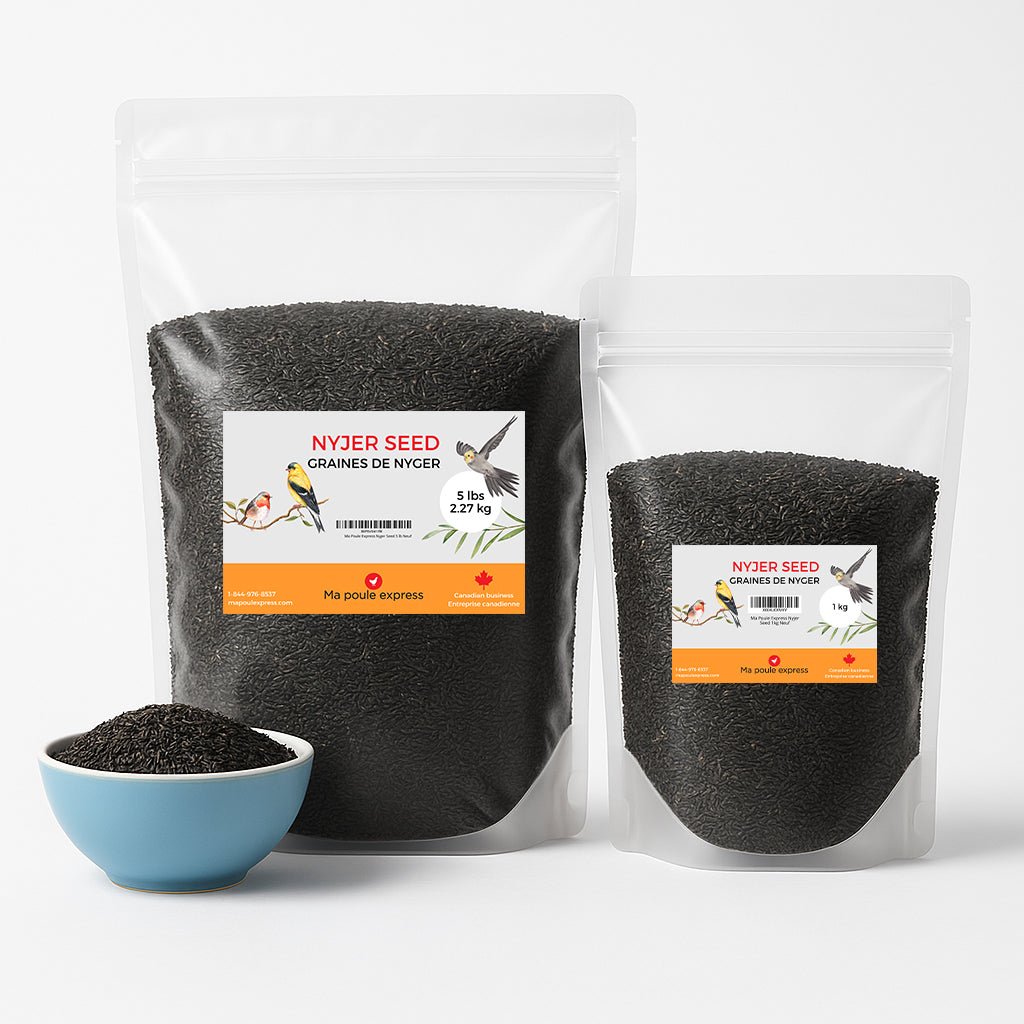 Graines de Nyjer Noires – Nourriture Premium pour Oiseaux Granivores (1 kg / 5 lbs) - Ma Poule Express