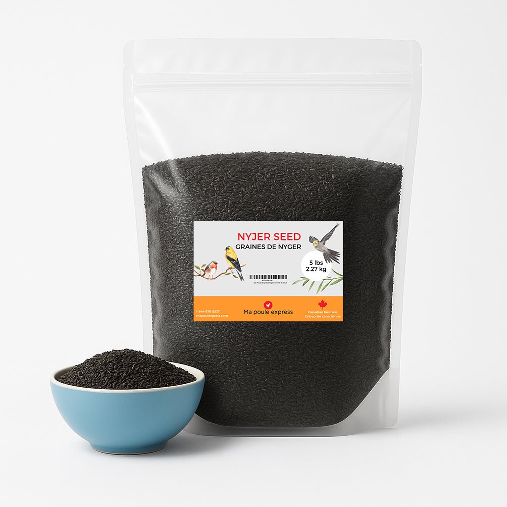 Graines de Nyjer Noires – Nourriture Premium pour Oiseaux Granivores (1 kg / 5 lbs) - Ma Poule Express
