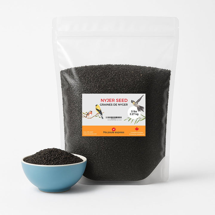 Graines de Nyjer Noires – Nourriture Premium pour Oiseaux Granivores (1 kg / 5 lbs) - Ma Poule Express