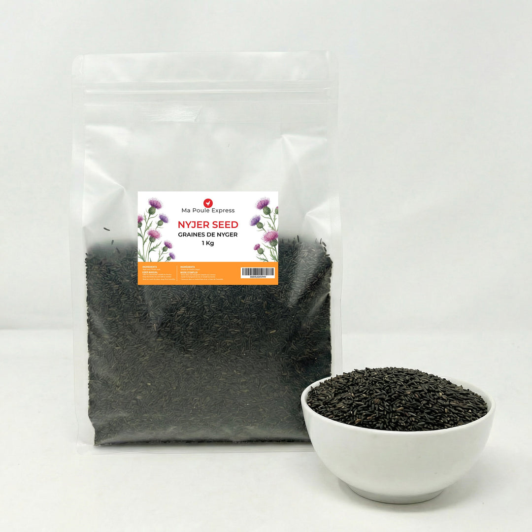Graines de Nyjer Noires – Nourriture Premium pour Oiseaux Granivores (1 kg / 5 lbs) - Ma Poule Express