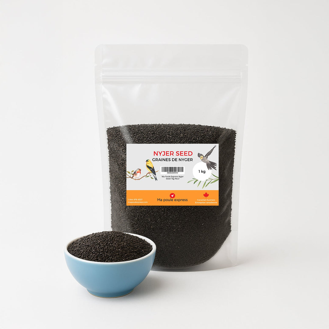 Graines de Nyjer Noires – Nourriture Premium pour Oiseaux Granivores (1 kg / 5 lbs) - Ma Poule Express