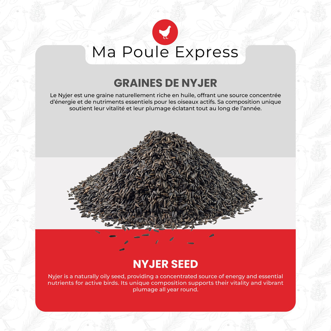 Graines de Nyjer Noires – Nourriture Premium pour Oiseaux Granivores (1 kg / 5 lbs) - Ma Poule Express